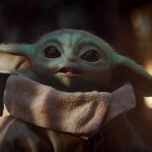 Meet your Posher, Dez